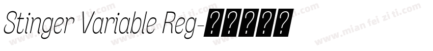 Stinger Variable Reg字体转换